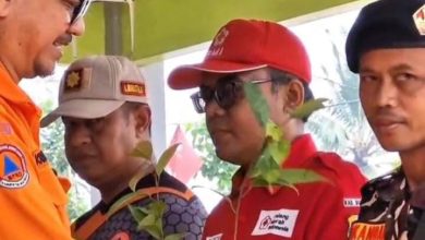 Banser Apresiasi Gerakan Penghijauan BPBD Bondowoso, 2.000 Bibit Pohon Ditanam di Lereng Argopuro