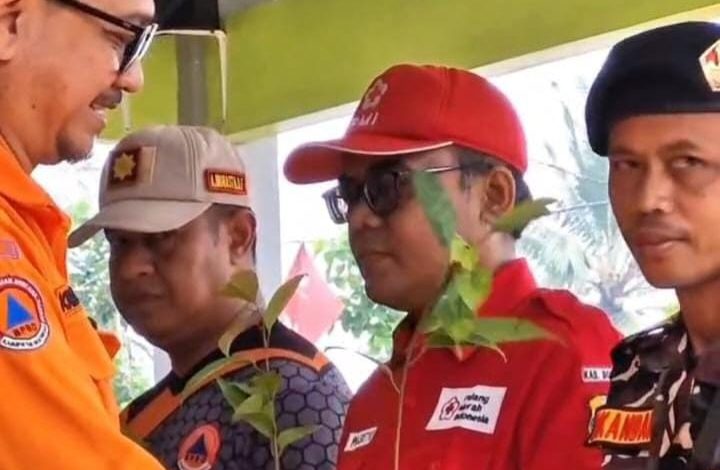 Banser Apresiasi Gerakan Penghijauan BPBD Bondowoso, 2.000 Bibit Pohon Ditanam di Lereng Argopuro