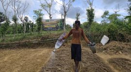 Petani Tembakau saat melakukan penyiraman 