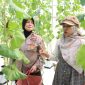 Kabag SDM Polres Sumenep Kompol Widiarti saat melihat langsung melon smart farming di Desa Kasengan