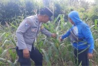Polsek Besuki saat turun langsung lihat petani