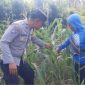 Polsek Besuki saat turun langsung lihat petani
