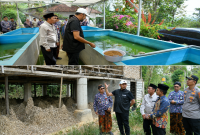 Bupati Sumenep saat melihat langsung ternak lele dan ternak ayam di Ganding