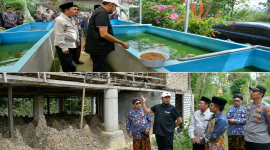 Bupati Sumenep saat melihat langsung ternak lele dan ternak ayam di Ganding