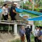 Bupati Sumenep saat melihat langsung ternak lele dan ternak ayam di Ganding
