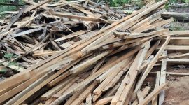Barang bukti Kayu yang dijarah para pelaku