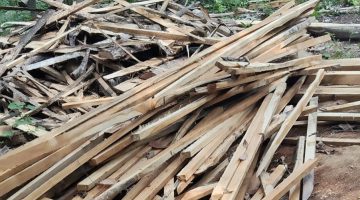 Barang bukti Kayu yang dijarah para pelaku