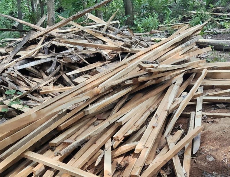 Barang bukti Kayu yang dijarah para pelaku