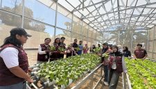 Tanam hidroponik hasil tim Cara'de di Desa Tinggimae di tinjau langsung tim visitasi Unhas