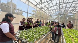 Tanam hidroponik hasil tim Cara'de di Desa Tinggimae di tinjau langsung tim visitasi Unhas