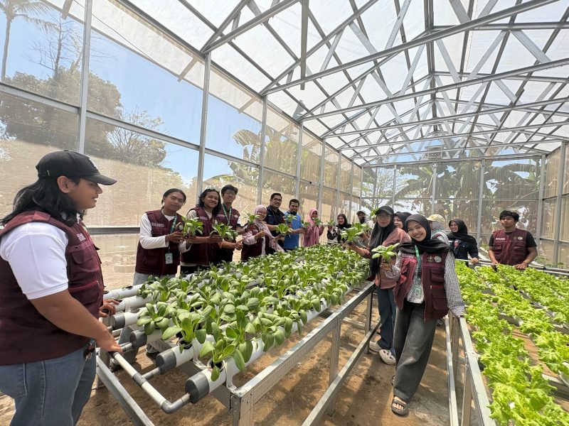 Tanam hidroponik hasil tim Cara'de di Desa Tinggimae di tinjau langsung tim visitasi Unhas