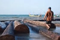 Gelondongan Kayu yang terdampar