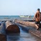 Gelondongan Kayu yang terdampar
