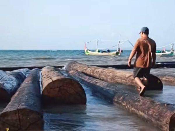 Gelondongan Kayu yang terdampar