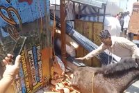 Posisi truk saat terguling dan nampak se ekor kuda