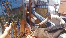 Posisi truk saat terguling dan nampak se ekor kuda