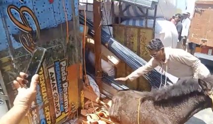 Truk Guling di Dermaga Kalianget, Pemeriksaan Muatan Kapal Jadi Sorotan